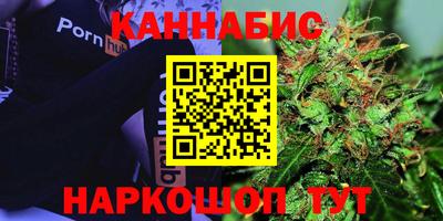 Альфа ПВП Можга