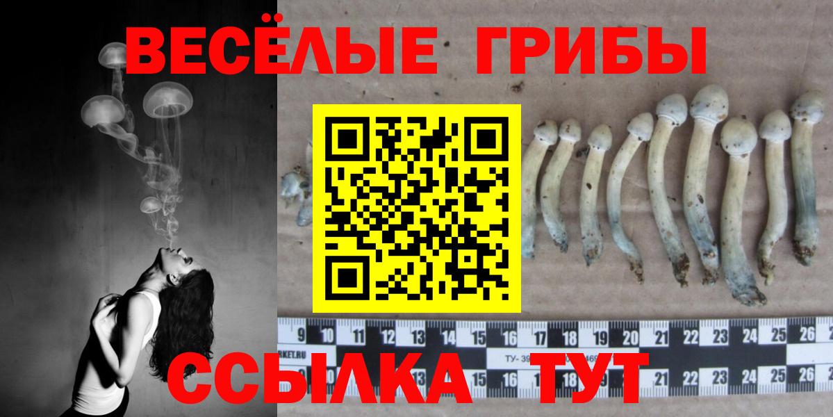 Псилоцибиновые грибы Magic Shrooms Верхняя Пышма